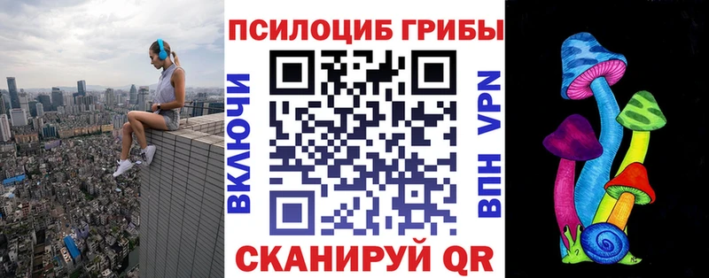 МЕГА как войти  Малмыж  Галлюциногенные грибы мицелий 
