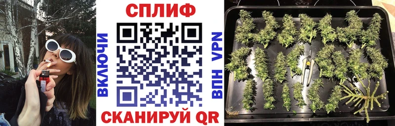 Марихуана планчик магазин Малмыж